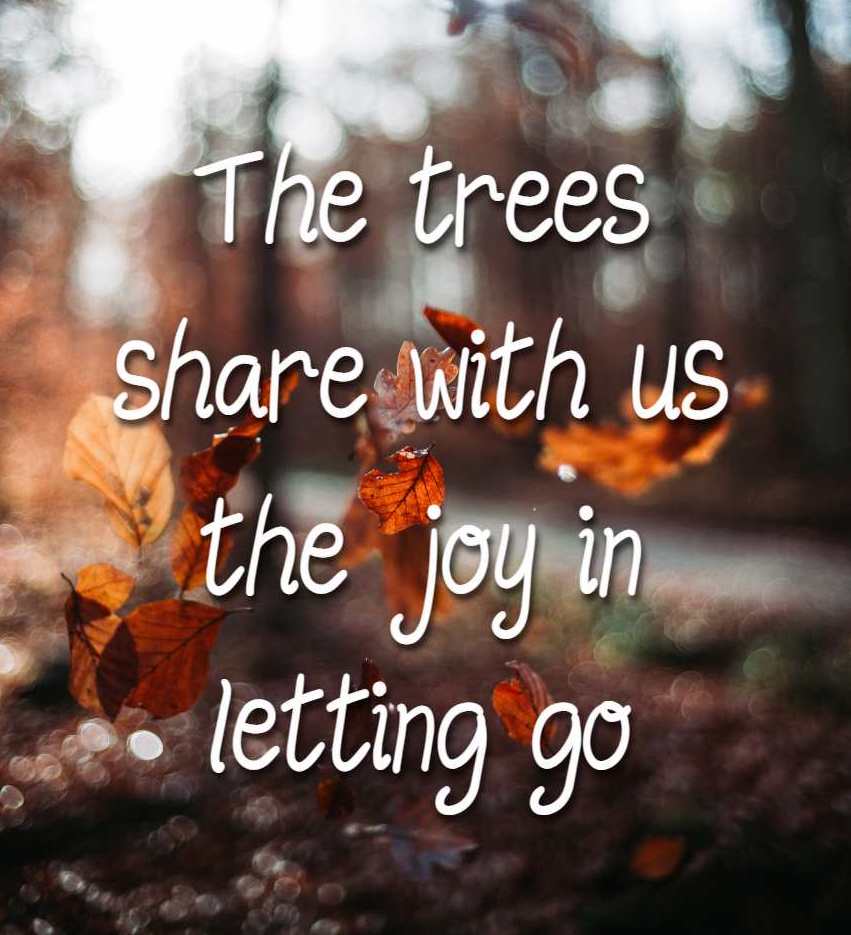 Leaves with a caption of 'the trees show us the joy in letting go